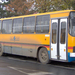 Ikarus 260-CLY-101 1